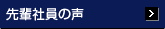 先輩社員の声